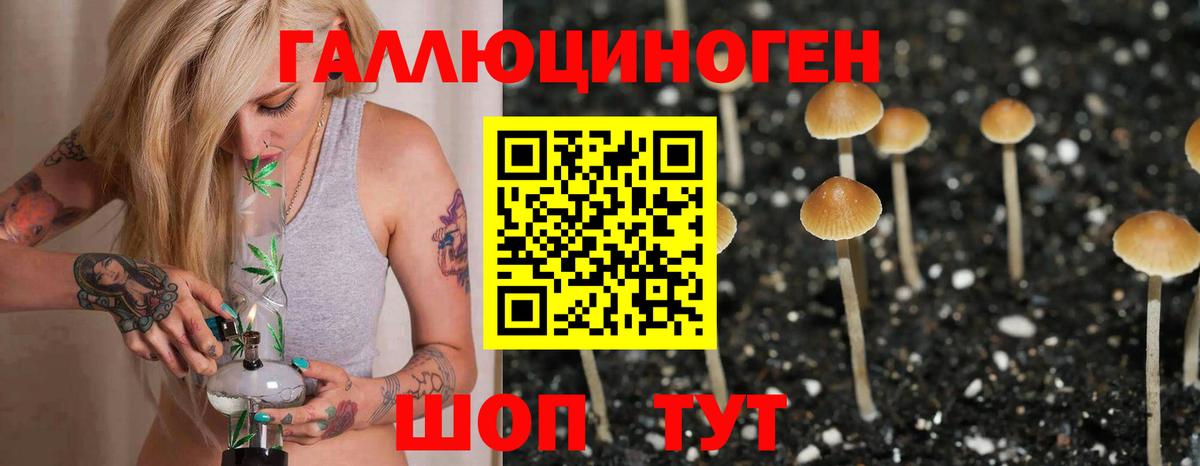 Галлюциногенные грибы Magic Shrooms  Псилоцибиновые грибы мицелий  цены наркотик  Вход с VPN  Сокол 