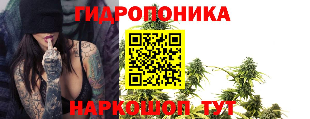 Конопля LSD WEED Сокол
